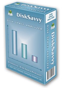 Disk Savvy Pro İndir – Full v 32-64 Bit