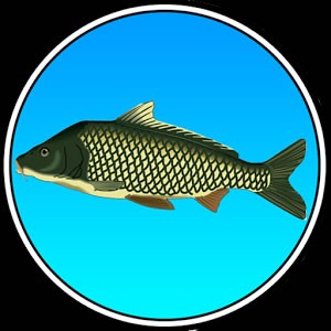 True Fishing Apk v1.16.4.821 Mod para hile + Android